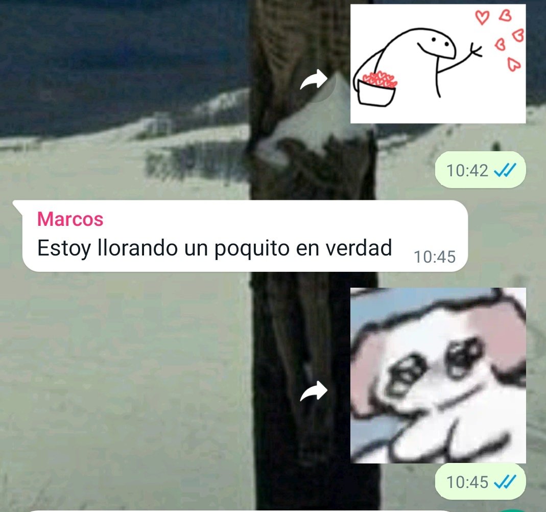 MozoYefimovich's tweet photo. Los grupos de pibes: tetas xoxingos nojeque nojecuantos

Los auténticos pibes: https://t.co/I1OPEAbqg8
