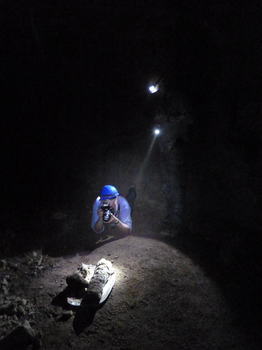 Don't forget to book your tickets for our Ancient Egypt: Animal Mummies Uncovered Zoom talk on the Catacombs of Anubis by Professor Paul T. Nicholson, taking place on the 15 November eppingforestdc.bookinglive.com/book/add/p/597