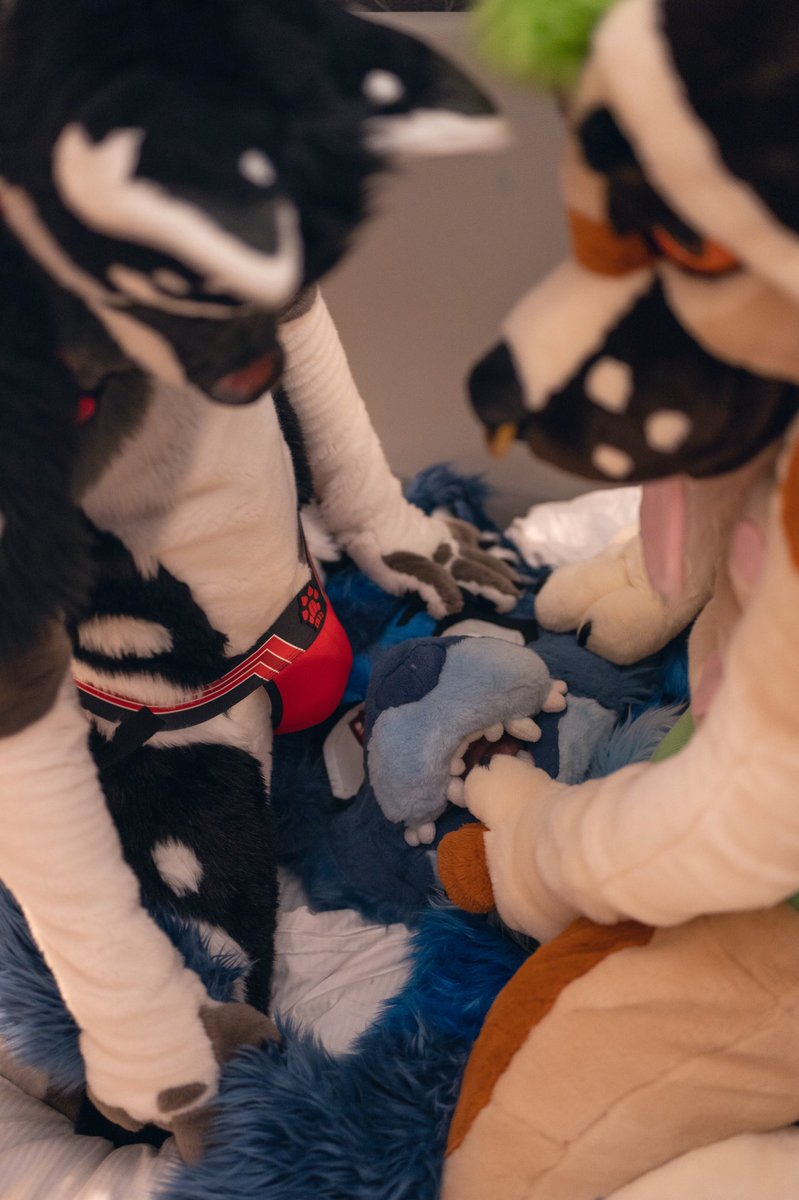 Finally settling the feud between cats and dogs >:] 
With <a href="/BigDadBork/">Max Kangal</a> and <a href="/saka_pute/">Your rubber cat 🔞</a> 

Photo by deeryeen 📷
#furry #fursuit #softsuit #softsuiting #yiff #murrsuit