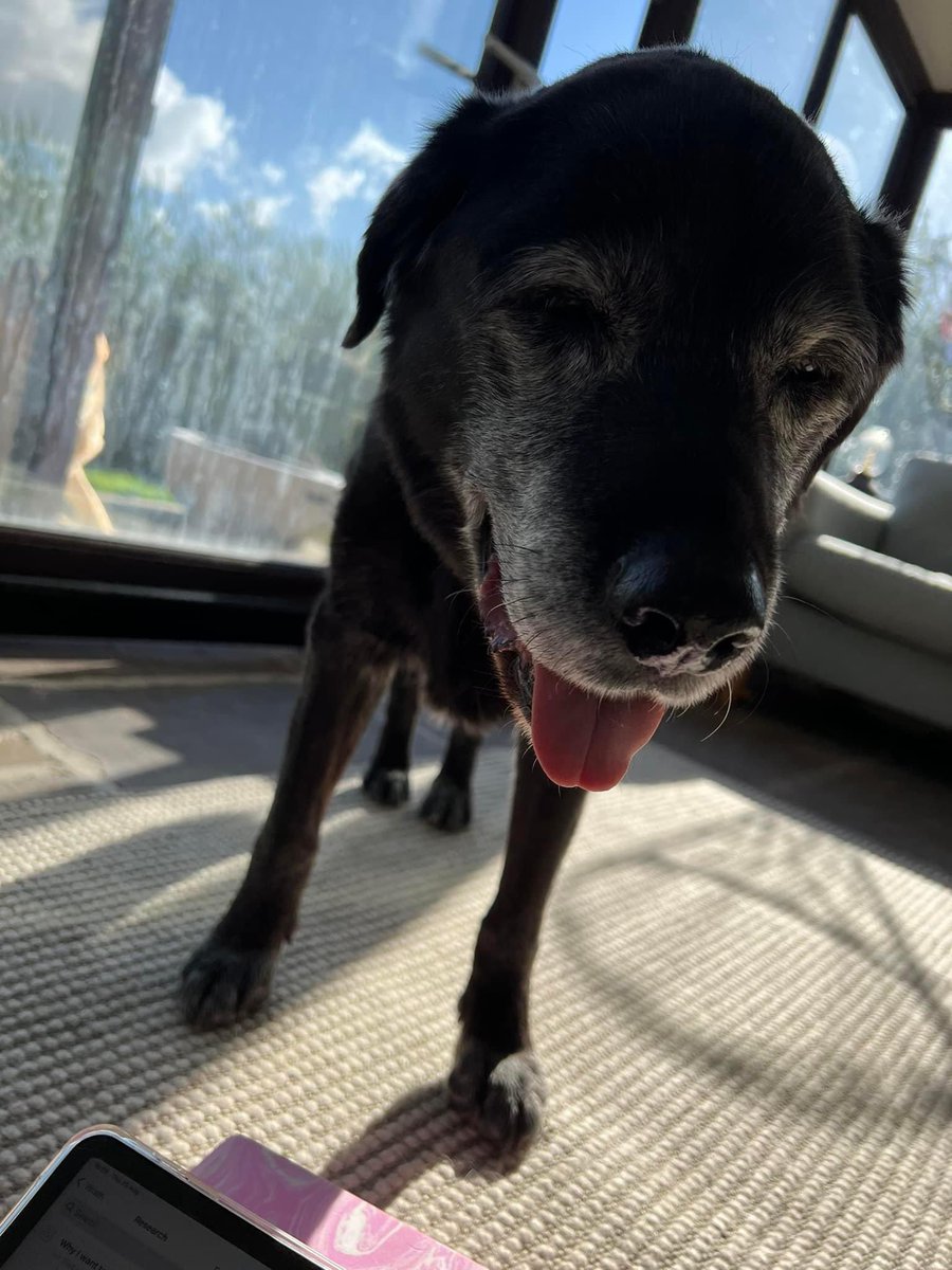 Jess Bulman tweet media