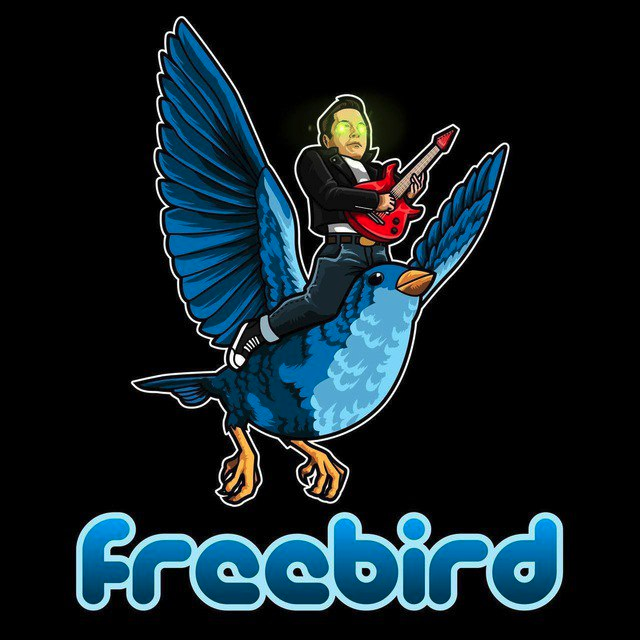 FreeBirdeth's tweet photo. @MrBigWhaleCEO #FREEBIRD - Been here since April 2022! 100% Community driven. LP burned forever. 
2% tax distributed to all holders. Reflections are great! https://t.co/MokVs6Eetx