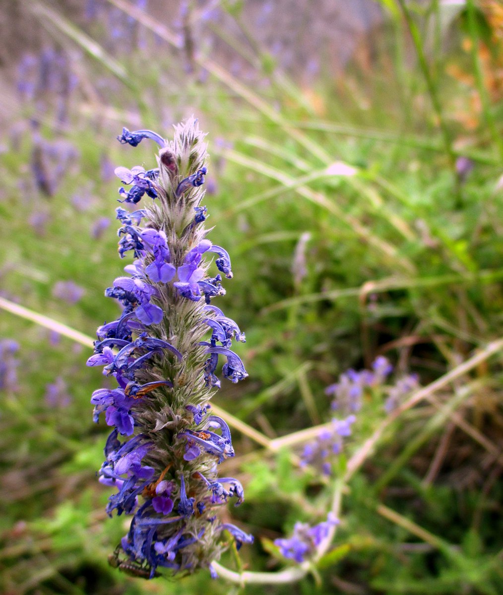 Maimoona Birjees tweet media