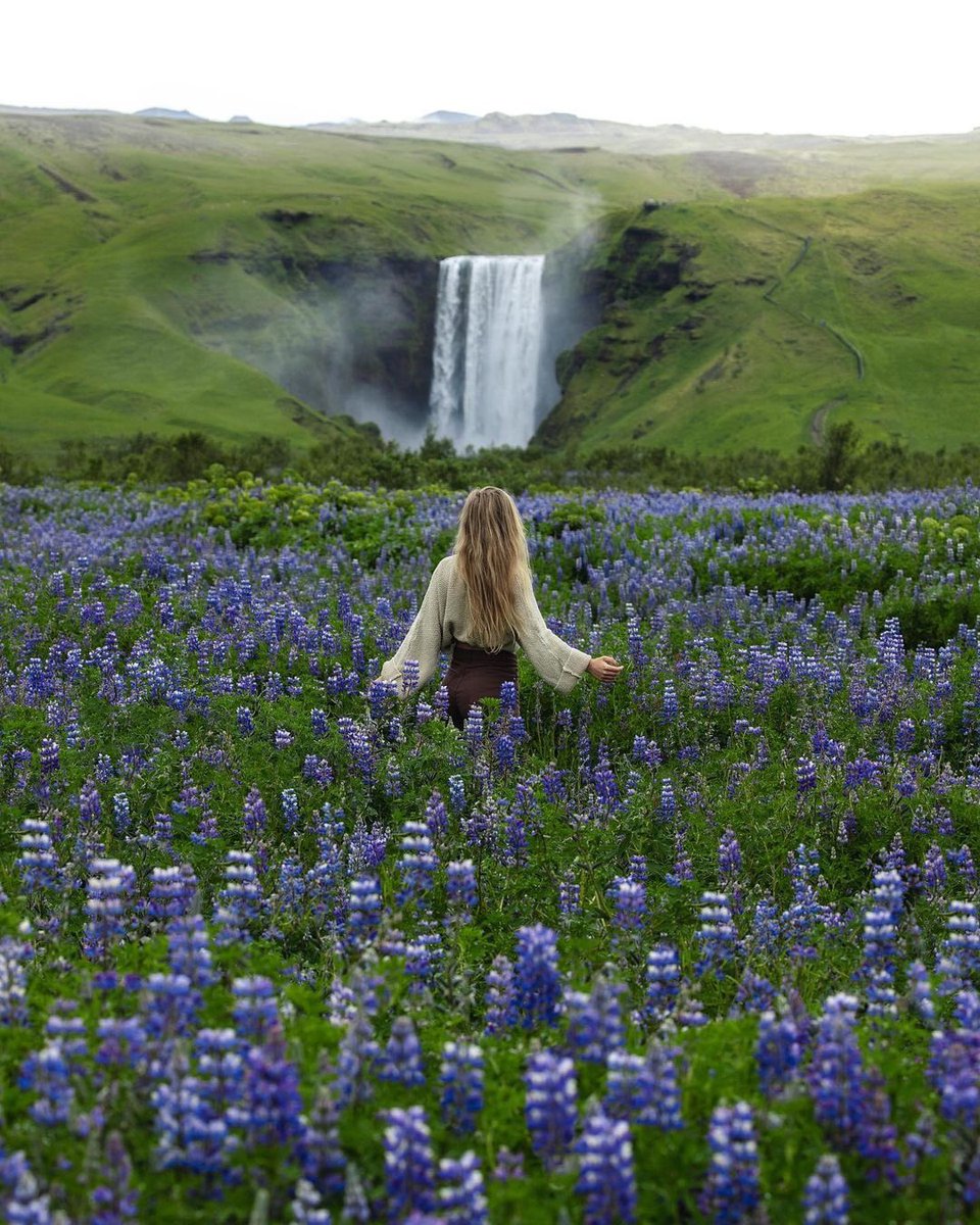 todayiniceland's tweet photo. Admiring the mighty Skógafoss 🤯
Iceland 📍🇮🇸 https://t.co/3ouB819vtM