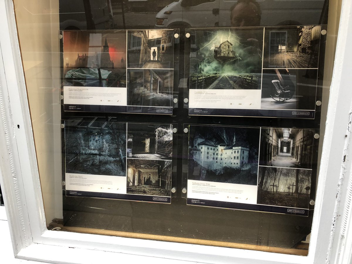 I love these adverts in the estate agents’ windows.
