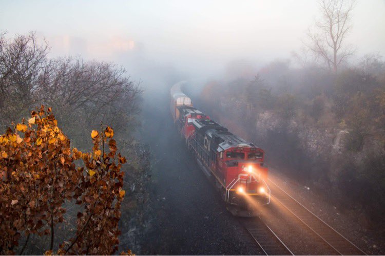 Kingstonist tweet media