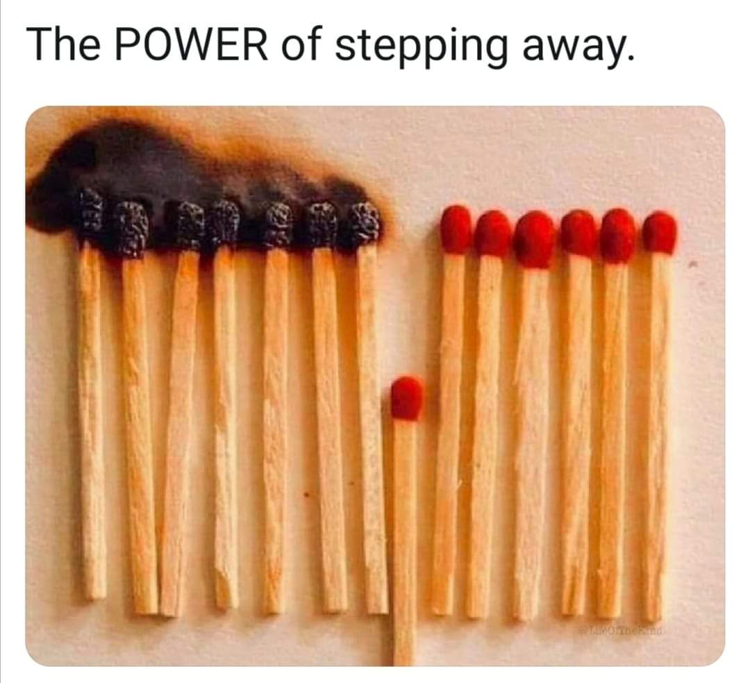 Dan nicoll (@dan_nicoll) on Twitter photo 