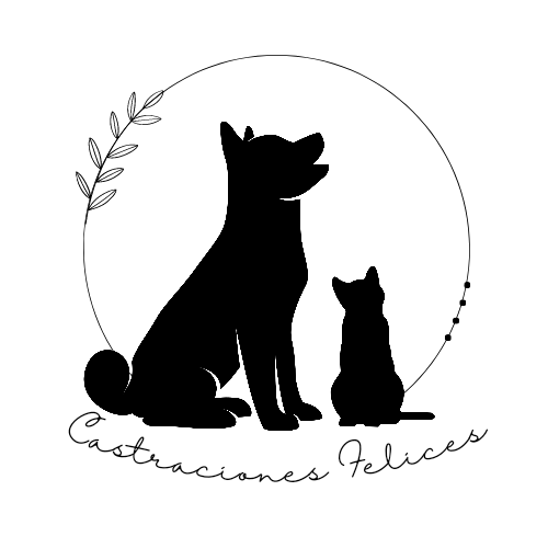 Somos una agrupación conformada por dos personas que tenemos como objetivo ayudar a aquellos animales que se encuentran en situación de calle, maltrato o abandono.

Todo lo que hacemos es a partir del esfuerzo, dedicación y cariño hacia los cuadrúpedos.
Att Castraciones felices♥️