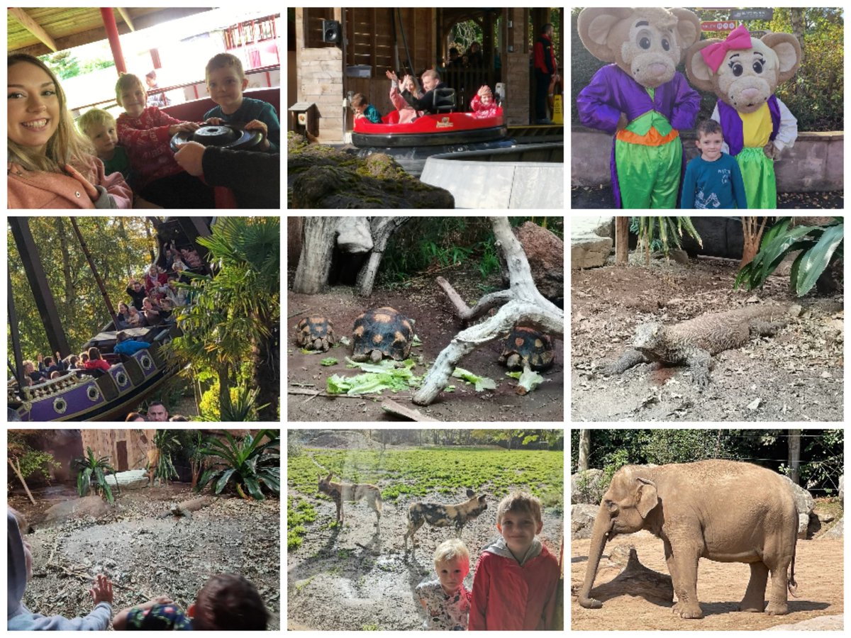 amzykins2's tweet photo. We went pumpkin picking for the first time 🎃 enjoyed a fright fiesta at gullivers World 🕸💀🎢 and finished with a day at Chester zoo 🐘🐢🦎🐻 we are ready for our Halloween disco tomorrow @MissFlanaganMLP @MrsEllisMLP @MissFlynnMLP @MrsGillardMLP @MissWatkinsMLP @MrsColemanMLP https://t.co/saiLNZ1UeT