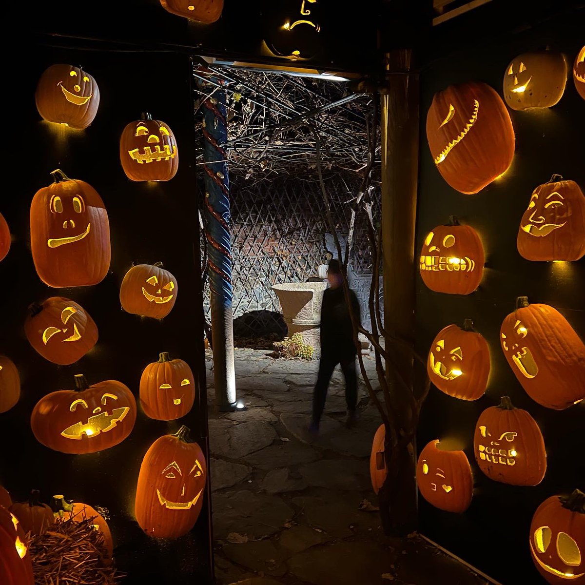 Another stellar Pumpkin Show at Naumkeag. #happyhalloween2022