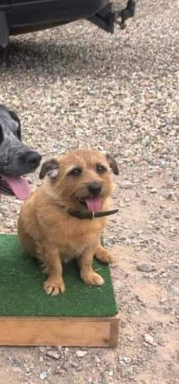 John Daffern tweet media