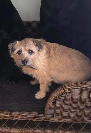 John Daffern tweet media