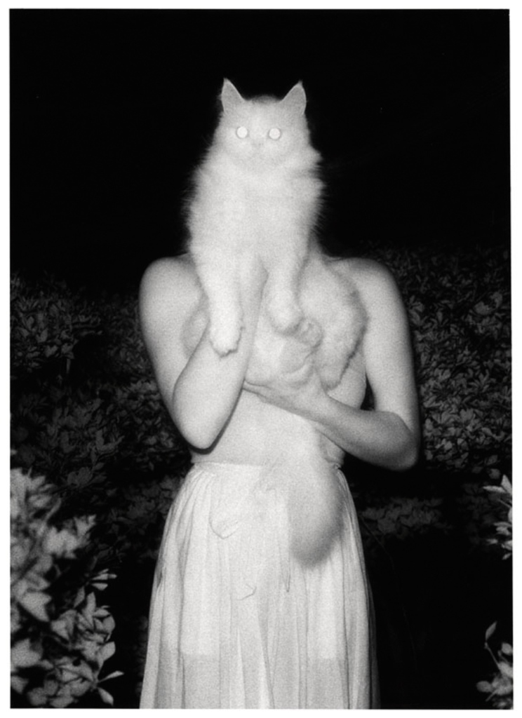 ICPhotog's tweet photo. A ghostly image from the ICP collection—Once Upon a White Night, by Masaaki Miyazawa. 

Image: Masaaki Miyazawa, Once Upon a White Night, September 15, 1981. Gift of Masaaki Miyazawa, 1985 (73.1985) https://t.co/pL4txeVyJR