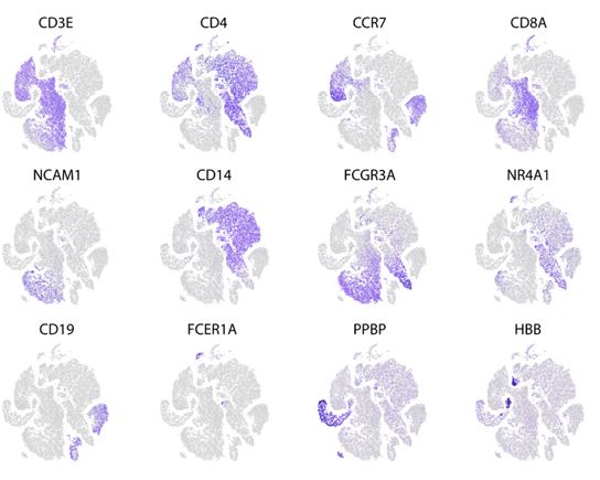 This weekend, catch up on a 2020 <a href="/kaistpr/">KAISTPR</a> study that found patients with severe #COVID19 experienced increased regulation of the IFN-I inflammation-triggering pathway—a signature also observed in patients hospitalized with severe cases of #influenza. scim.ag/mj