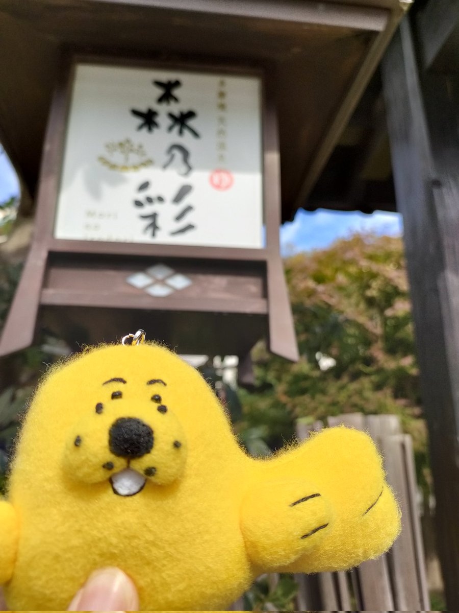 38tick's tweet image. 今日は女子4人で初めての森乃彩🍃めちゃめちゃよかった🥹❤️でもね、途中自分の足が焼き鳥になったかと思ったよ…😇✨