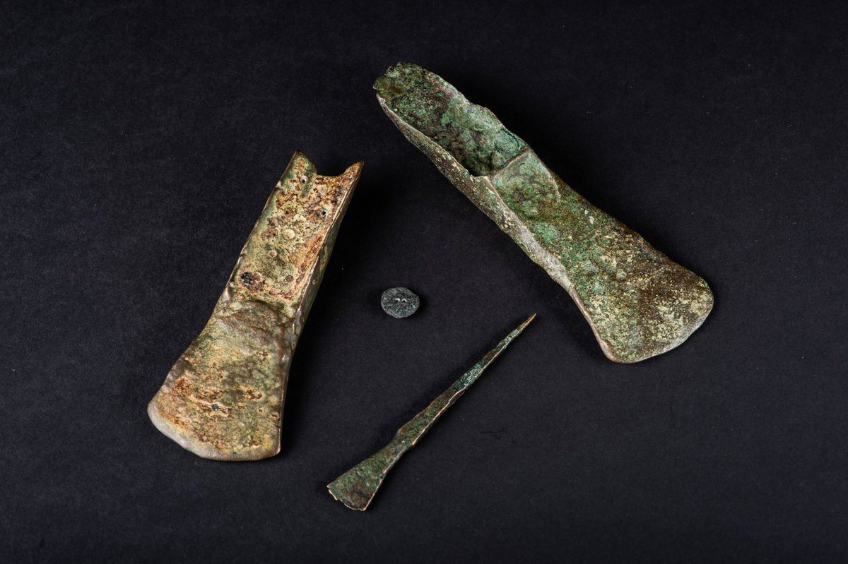 Lynn_Museum's tweet photo. The Seahenge and Holme II timbers are not the only Bronze Age artefacts uncovered at Holme Beach. Below are two axes, a chisel and a button made from bronze.

These objects are part of our new exhibition Hoards: Archaeological Treasures from West Norfolk.

#SeahengeSunday https://t.co/5DQp2bKiPx