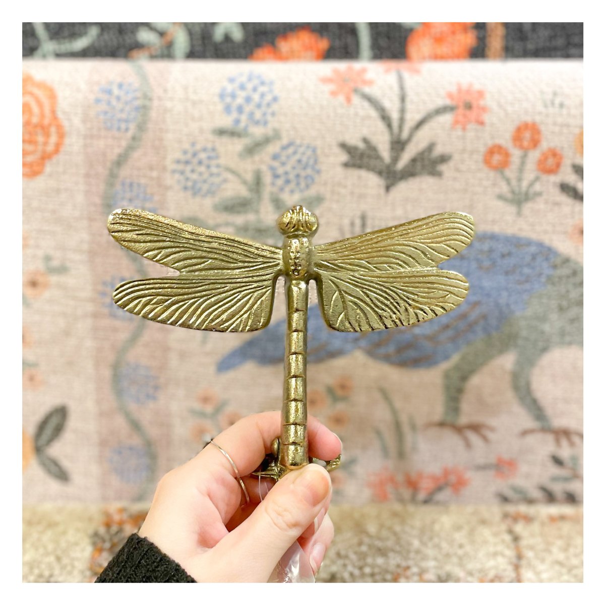 Dragonfly Brass Door Knocker - just arrived.
It's a real beauty.