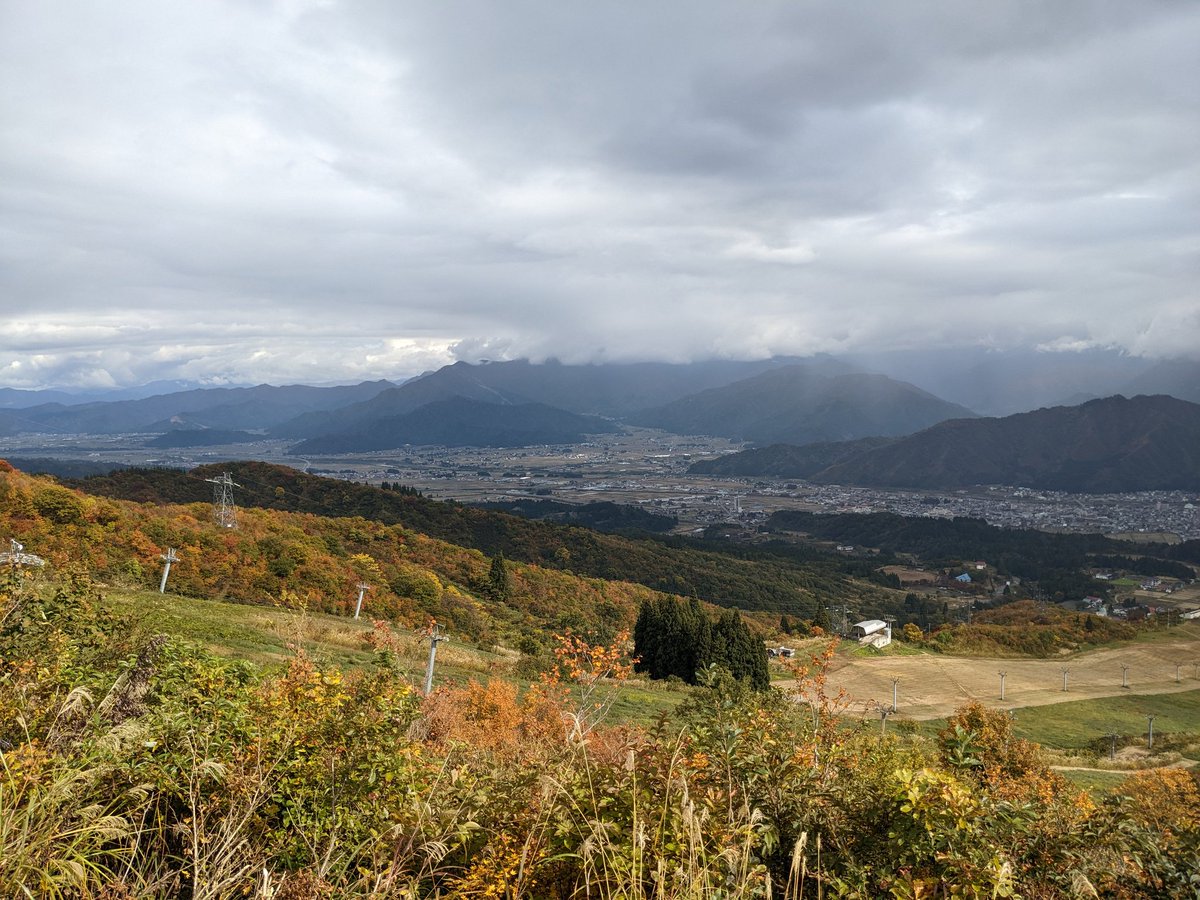 せなっぱ tweet media