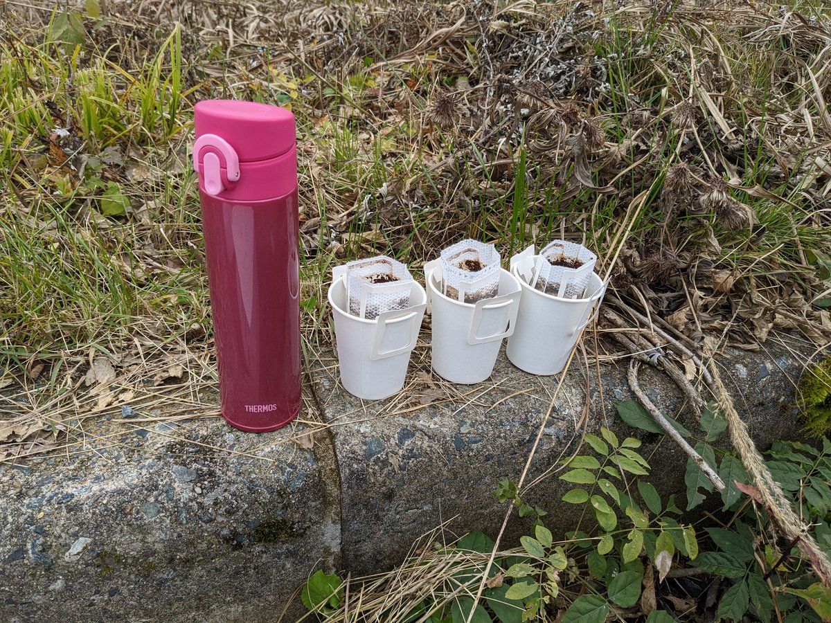 せなっぱ tweet media