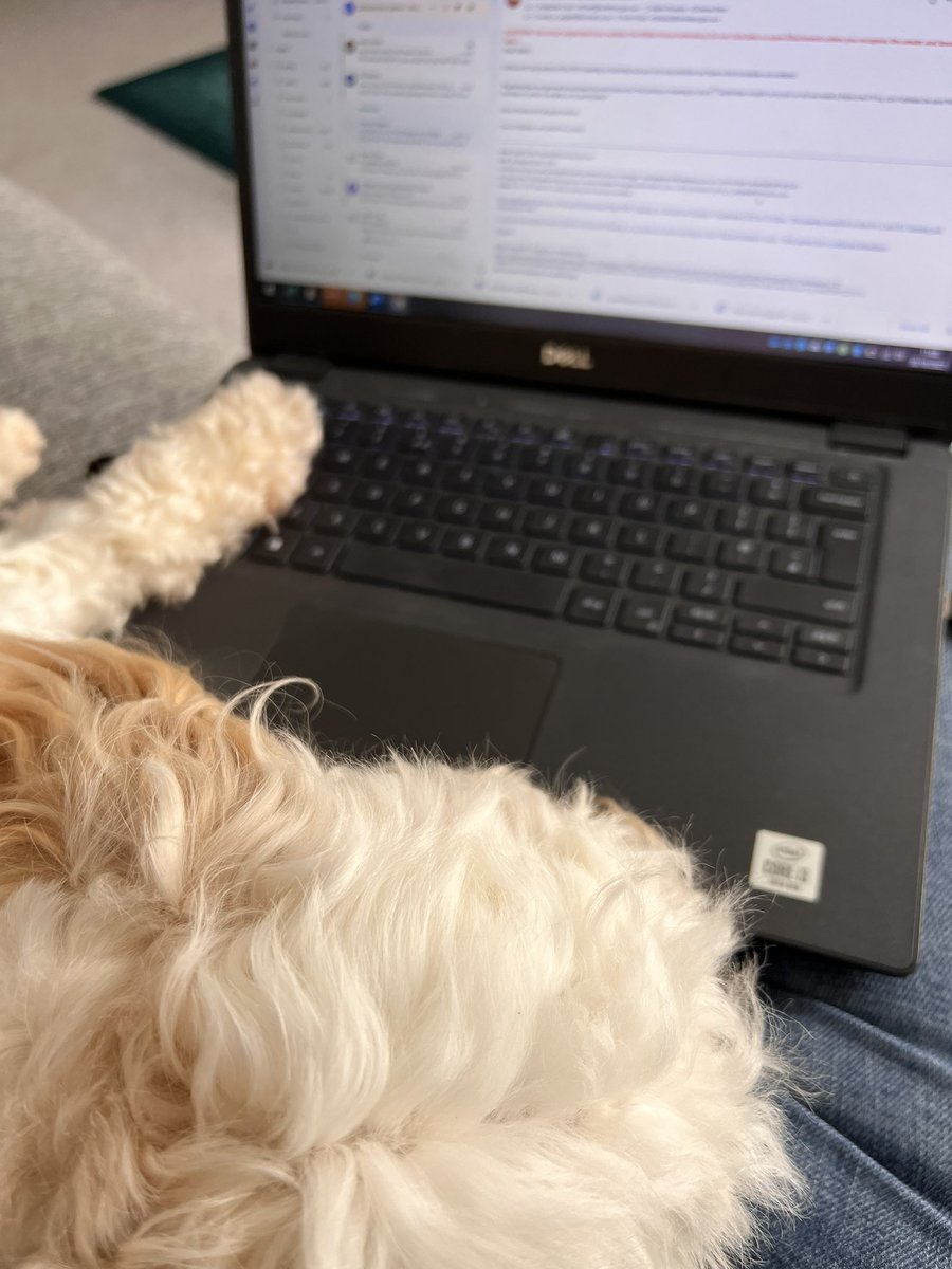 When you are trying get ready for term 2! 
However, I am excited to be welcoming all Crofties back tomorrow 😊 we are starting the term with our annual <a href="/thecroftprimar1/">@thecroftprimarypta</a> Halloween Disco🎃