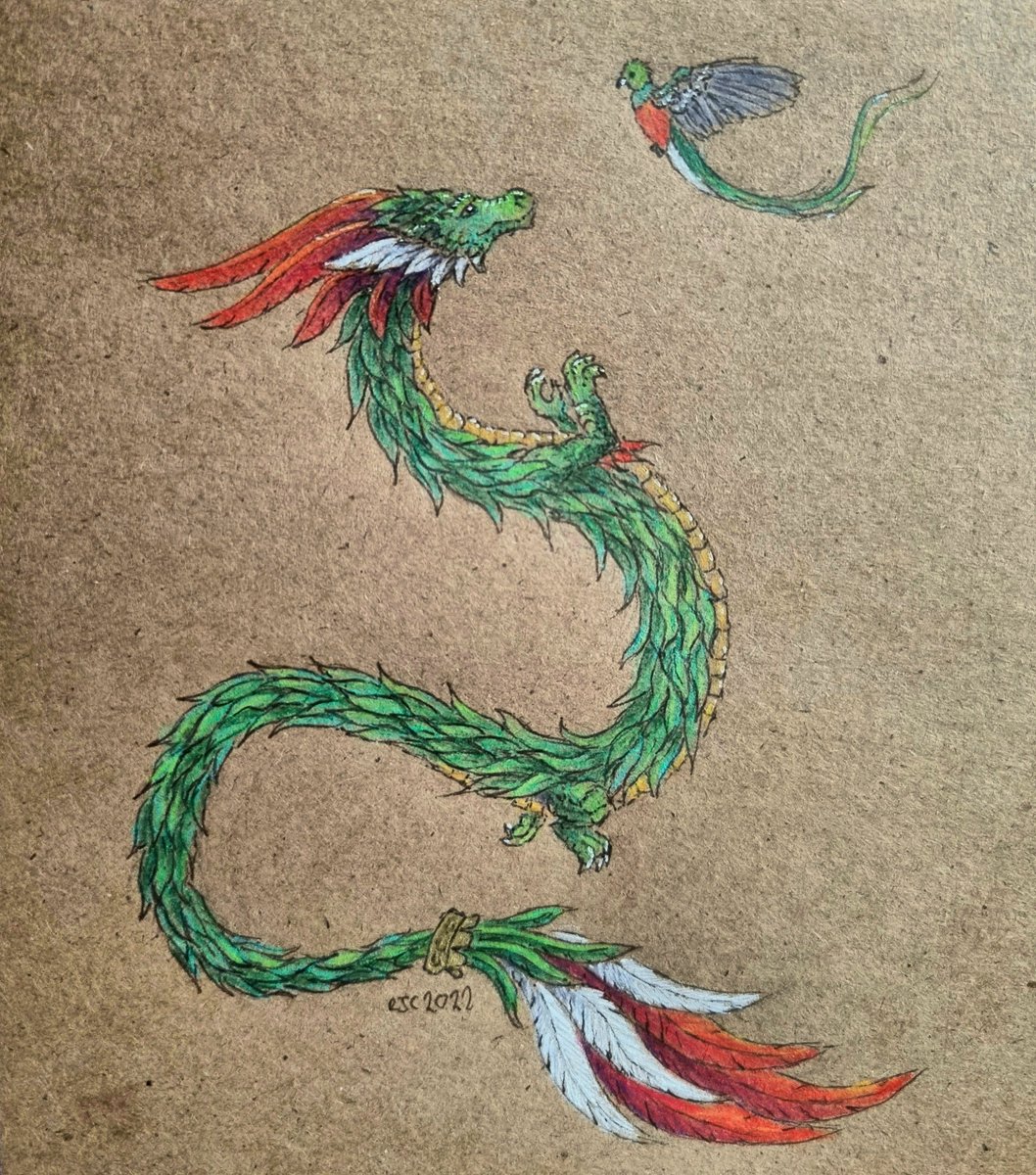 CamfieldBecky's tweet photo. Undying Tales Day 30 Resplendent Quetzal 

The Aztec deity Quetzalcoatl is inspired by this bird as it is adorned with the same feathers. The bird also represents freedom as they die in captivity.

#undyingtales #dailydrawing https://t.co/EUbXpSKuLo
