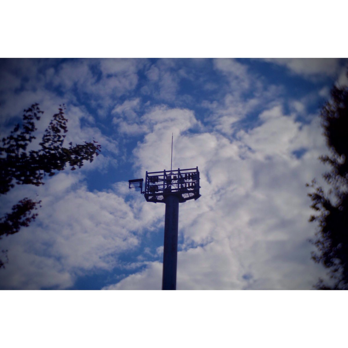 62_bug's tweet photo. 久々のカメラ散歩ですな
#leicad2
#elmar5cm
#pentaxq7
#wollensak
#cineraptar https://t.co/UCNmkRCDN7