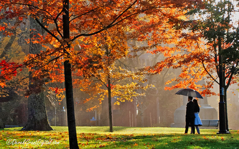 NaturePaparazzi's tweet photo. Autumn Promenade ~ #AutumnVibes #AutumnColors #Colorfulfall #ThePhotoHour #StormHour #Umbrella #Couples https://t.co/42IalPTDQj