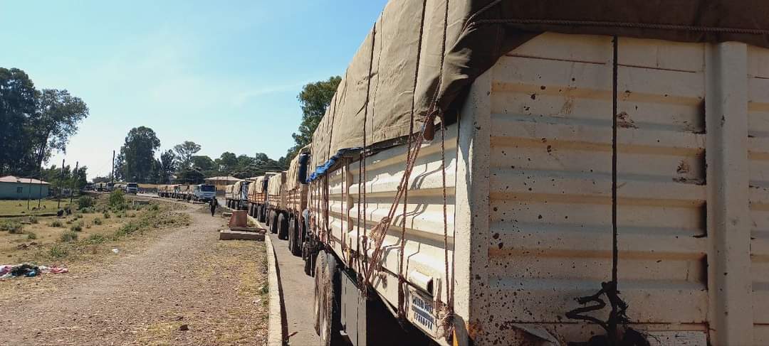 damtew_leul's tweet photo. The Ethiopia government delivering humanitarian aid for #tigray #disarmtpf https://t.co/R32rdqgtcx