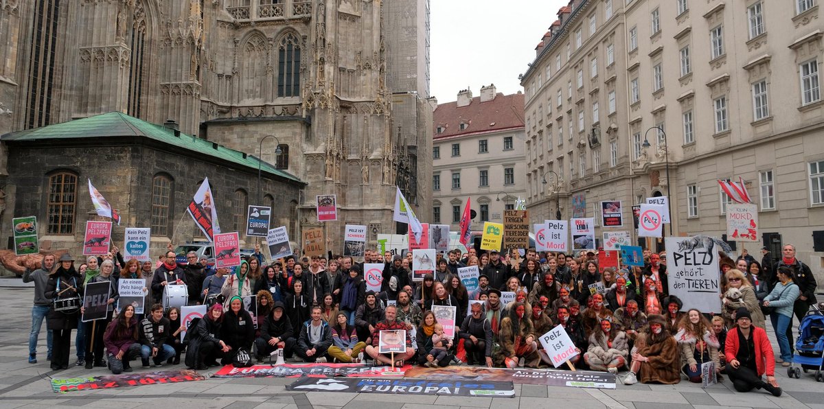 vgt_at's tweet photo. 300 Teilnehmer:innen auf VGT-Demozug gegen Pelz in Wien! 🦊 24 Jahre nach dem weltweit ersten Pelzfarmverbot in Österreich kann jetzt mit einer Europäischen Bürgerinitiative EU-Pelzfarmverbot und Pelzimportverbot umgesetzt werden! https://t.co/tYQ4x2iRgC https://t.co/KqzWNMrZlc