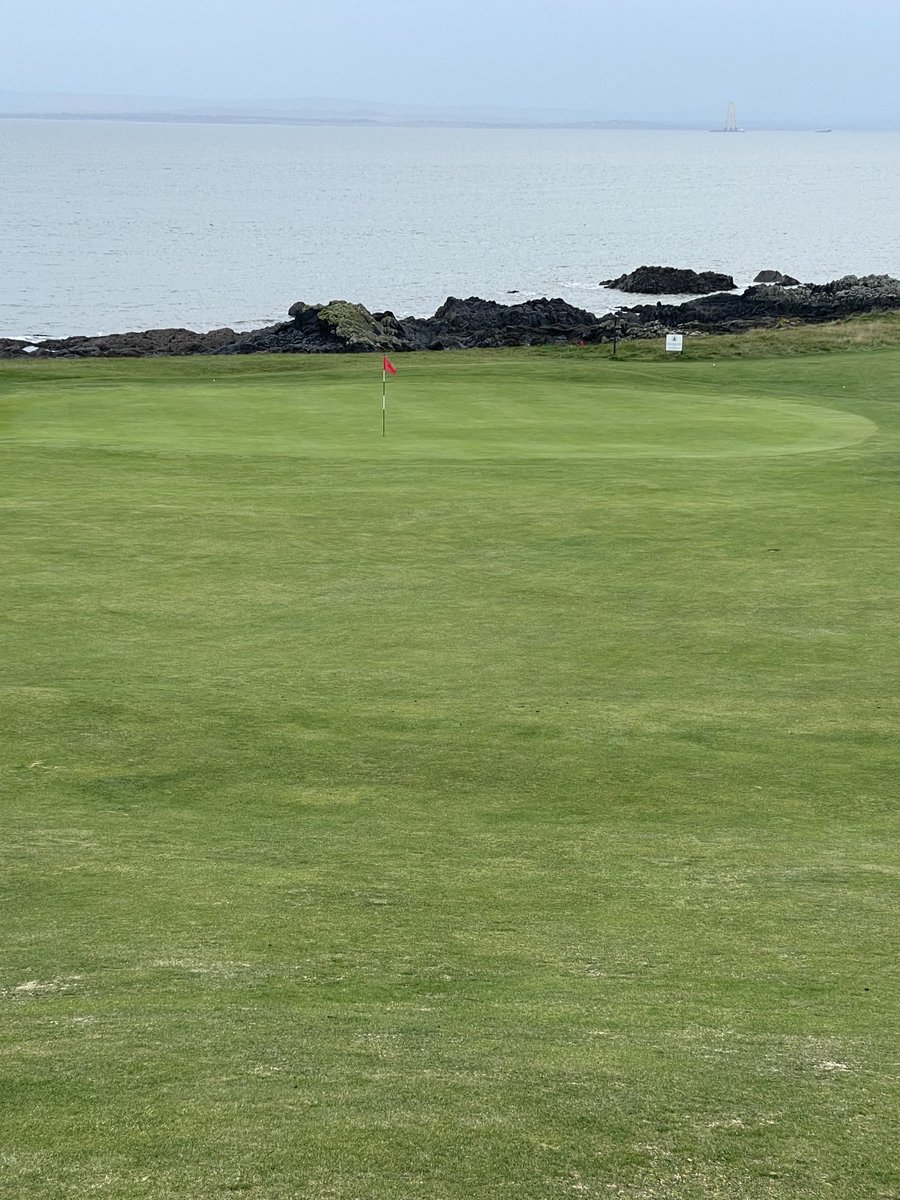 Alastair Forsyth tweet media