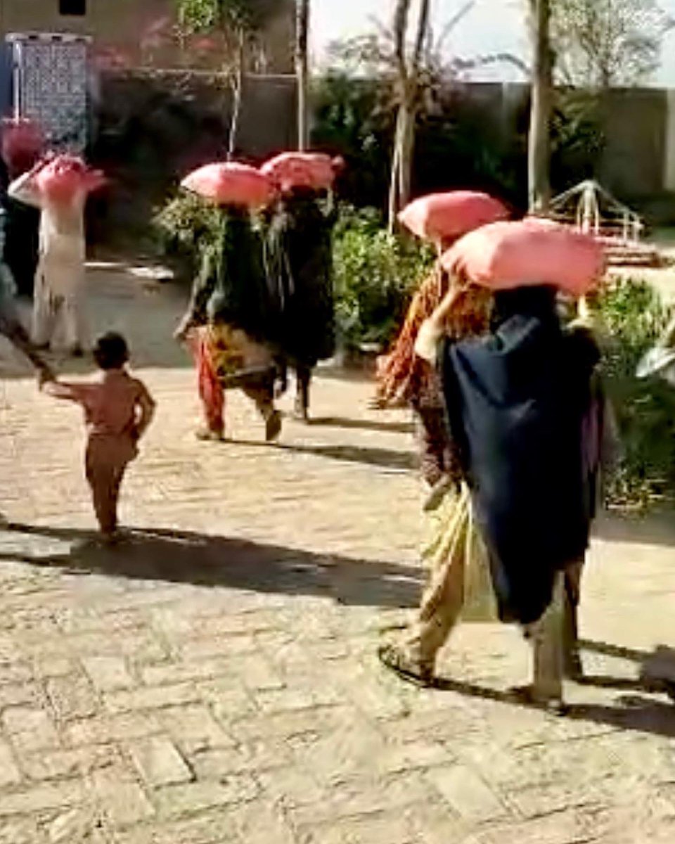 LifeBridgeUS's tweet photo. Meal Kits distribution in Hala #Matyari #Sindh
#FloodsInPakistan #sindhflood2022
@DrChainani @dramnabuttar @beenasarwar @MushRajpar @USAIDSavesLives @UNOCHA @WFP @dec @UNICEFUSA @UNICEF_Pakistan https://t.co/6yn5FDJTxf