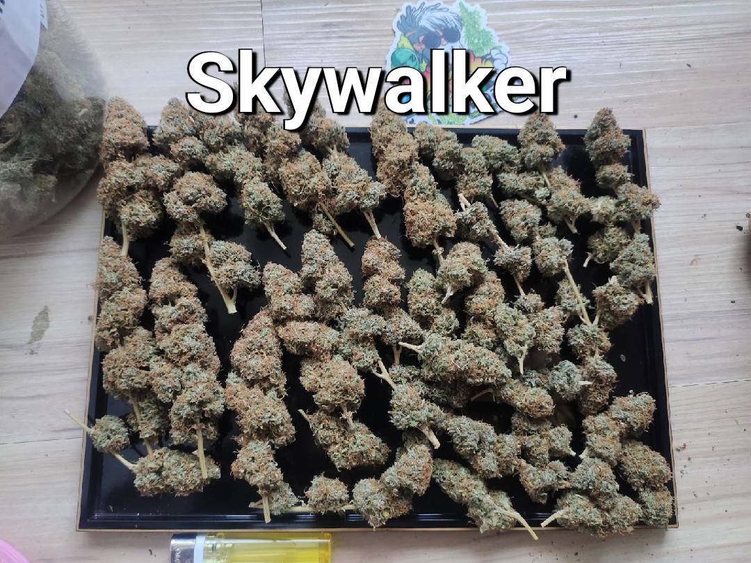 CCT MisterThree tweet media