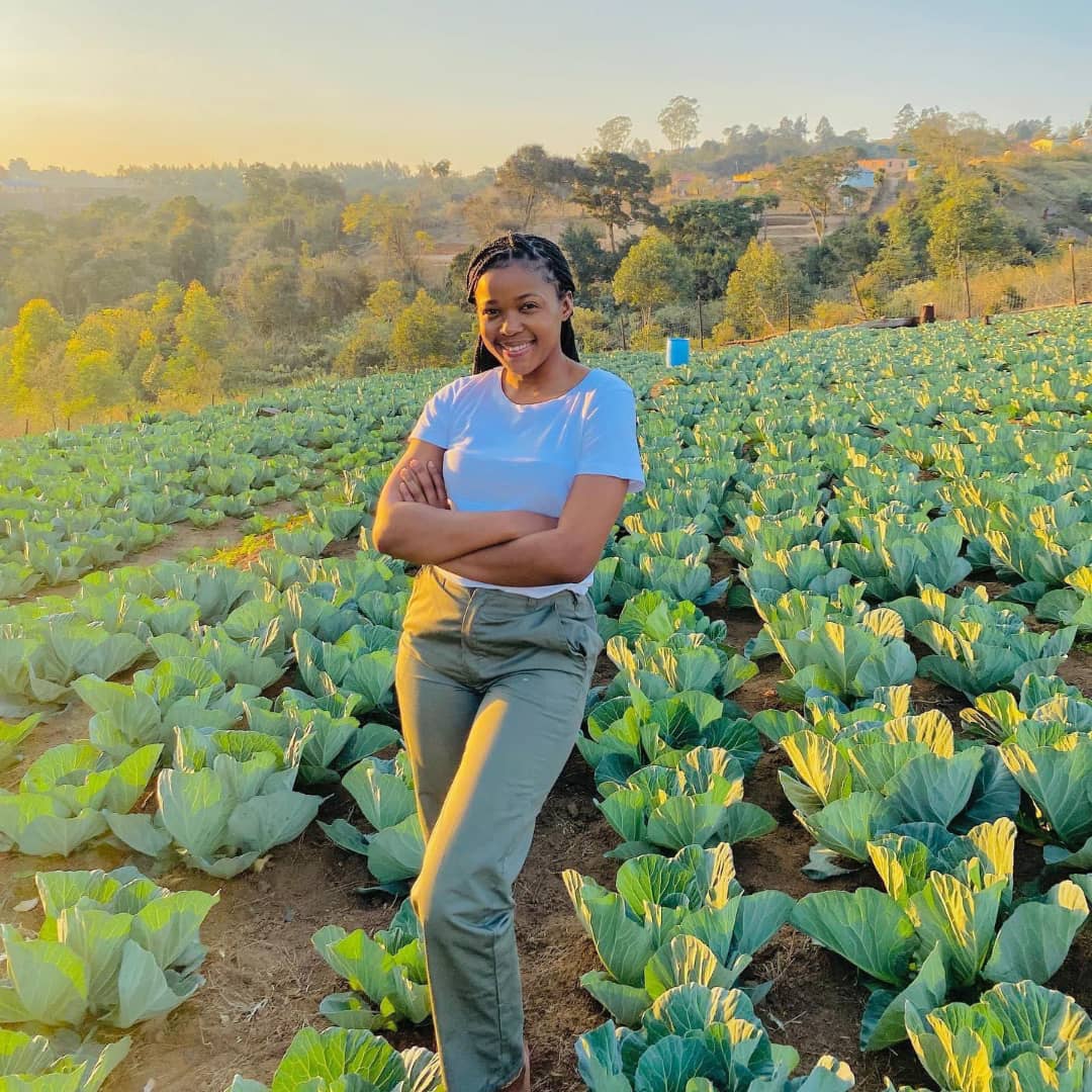 If farming is your first choice, just like and retweet.