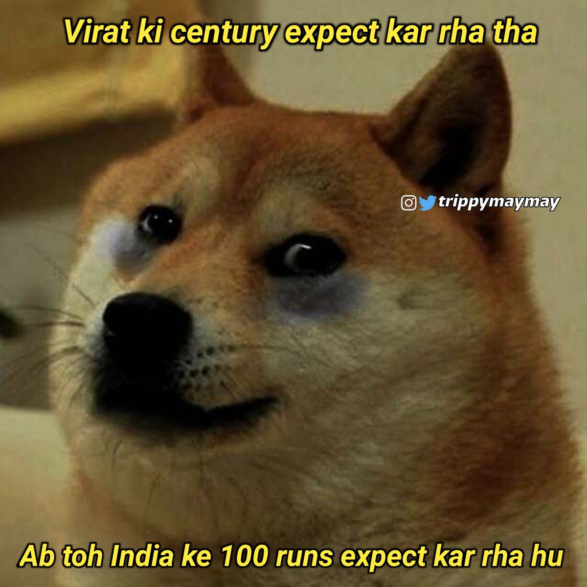 trippymaymay_'s tweet photo. #INDvsSA

Top order collapsed 🥺 https://t.co/lM7ZLBR9aQ