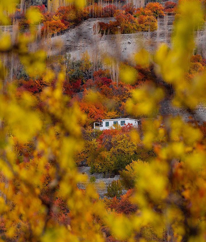 MachuloP's tweet photo. Autumn season in gilgit baltistan.
.
.
.
.
#machulo #AutumnVibes #autumnfall #Autumnsky #colorfulautumn #AutumnInternationals #AutumnNationsSeries #autumn #autumnseason #autumnfashion #autumn2022 #machuloautumn #machulotrek #machulolatrek #Autumnwatch https://t.co/eG9O4Rs3j2