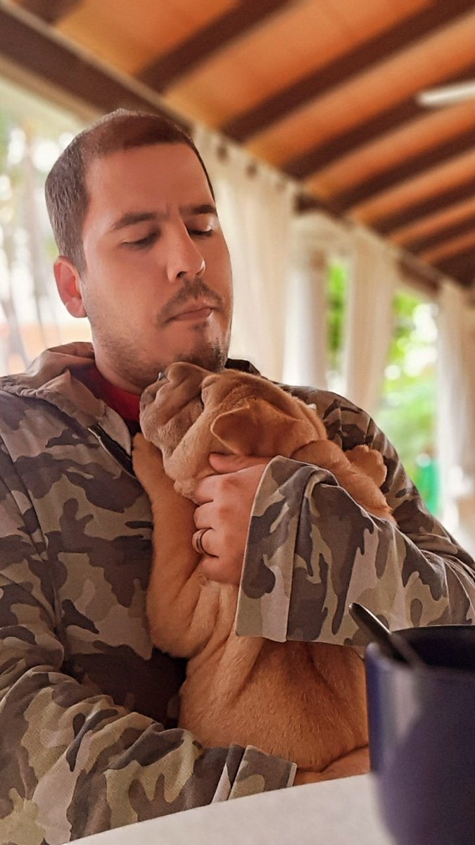 nanoleimbacher's tweet image. Sunday&apos;s hug #picoftheday #pics #picofthesunday #dogsoftwitter #SharPei