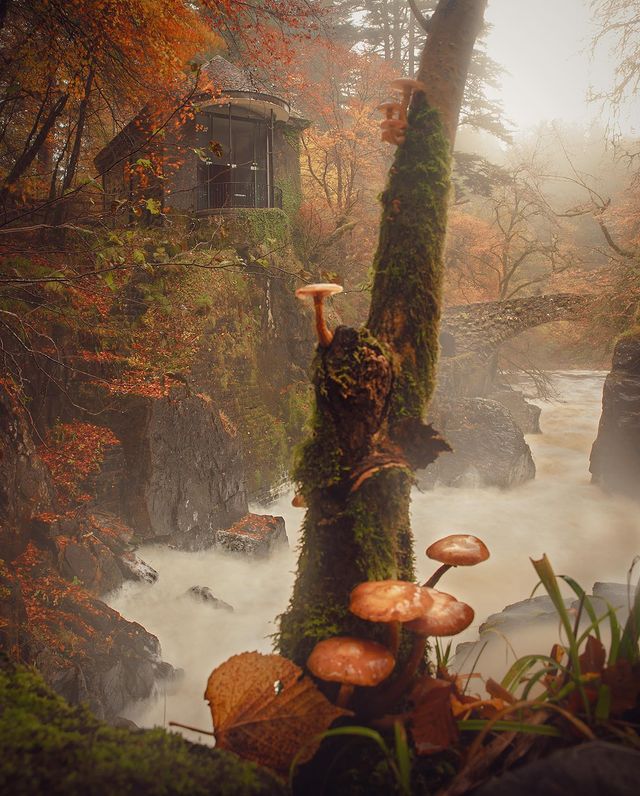 N_T_S's tweet photo. The Hermitage is the most magical stretch of Perthshire forest. Walk amongst the giant Douglas firs to the roaring Black Linn Falls. Overlooking the falls is the picturesque folly known as Ossian’s Hall, built in 1757
(📸 bgs___photography) #ForTheLoveOfScotland https://t.co/BewM7nGLMZ