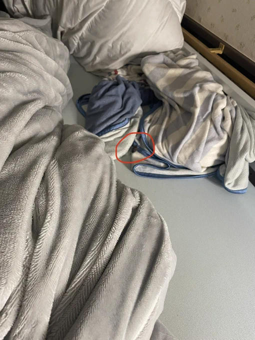 うたた寝してたら布団の中に違和感を感じ広げてみたら無事絶叫しました。(カメムシかな…)おはようございますみなさま。私は元気です 