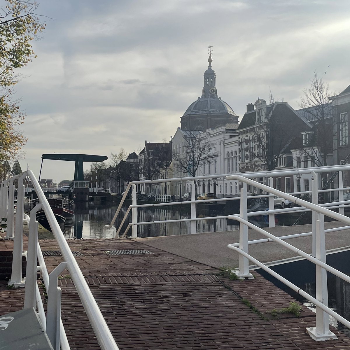 Stimulating seminar programme and inspiring ideas shared over the last few days at #BVSLeiden - big thanks to the organisation committee <a href="/paulquax/">Paul Quax</a> <a href="/MJGoumans/">Marie-Jose Goumans</a> for the opportunity! <a href="/VascularBiol/">Vascular Biology</a>