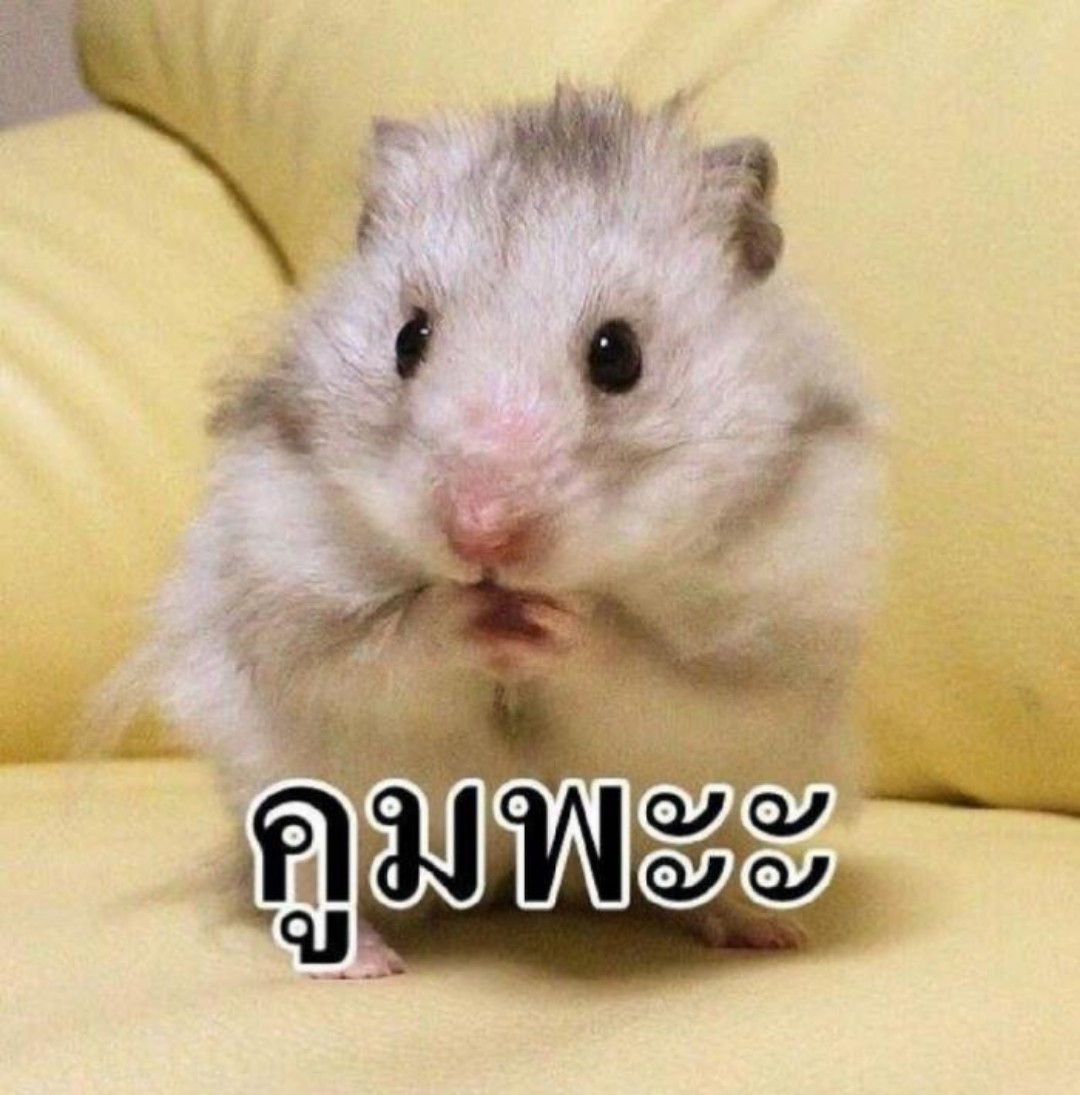 96Jinja's tweet photo. ตุย https://t.co/JkPwLovLjq