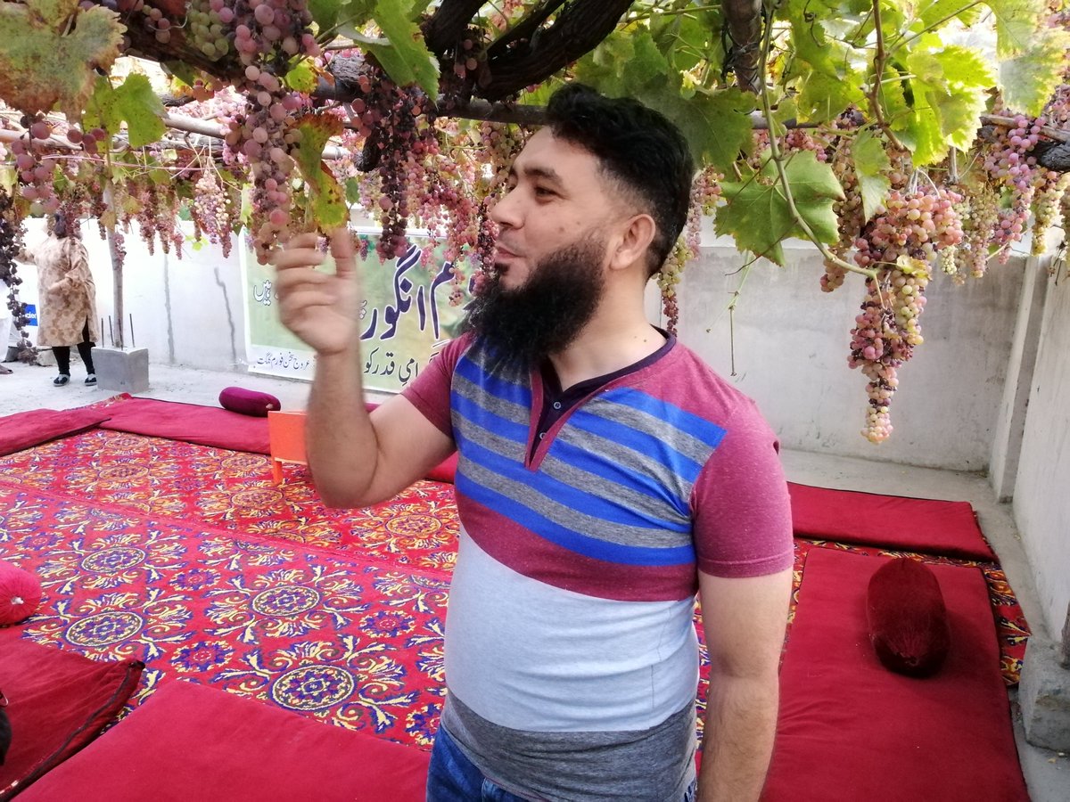 arzulfi's tweet photo. Grapes Garden in Gilgit #GBdiary #tourism #tourmaster @skardu_pk @GBinPictures_ @MyGltBln https://t.co/gc4xWXhTLi
