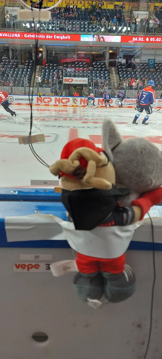 Gargarstig's tweet photo. Ice Tigers vs. Liiieber ein Verlierer sein als ein....
#scheespieln #icetigersnürnberg #adlermannheim #Heimspiel https://t.co/QJN4FUuejM