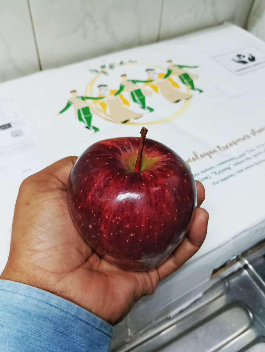 jitensmail's tweet photo. A gift from Kinnaur, Himachal Pradesh, India #kinnaur #kinnaurapple #Apple #HimachalPradesh #kayang https://t.co/BNomBpiXMT