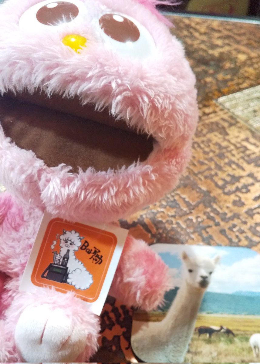 UE_moppy's tweet photo. 中村FAMILYと楽しい時間🥳🎶

#Barアルパカ🦙
#家族も当然美人🥰
#アルパカシールGet🌟
#あんな話こんな話はできませんでした🙃 https://t.co/QFvrVCqnHg