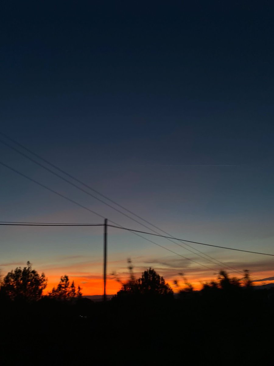 Thalia Bravo tweet media