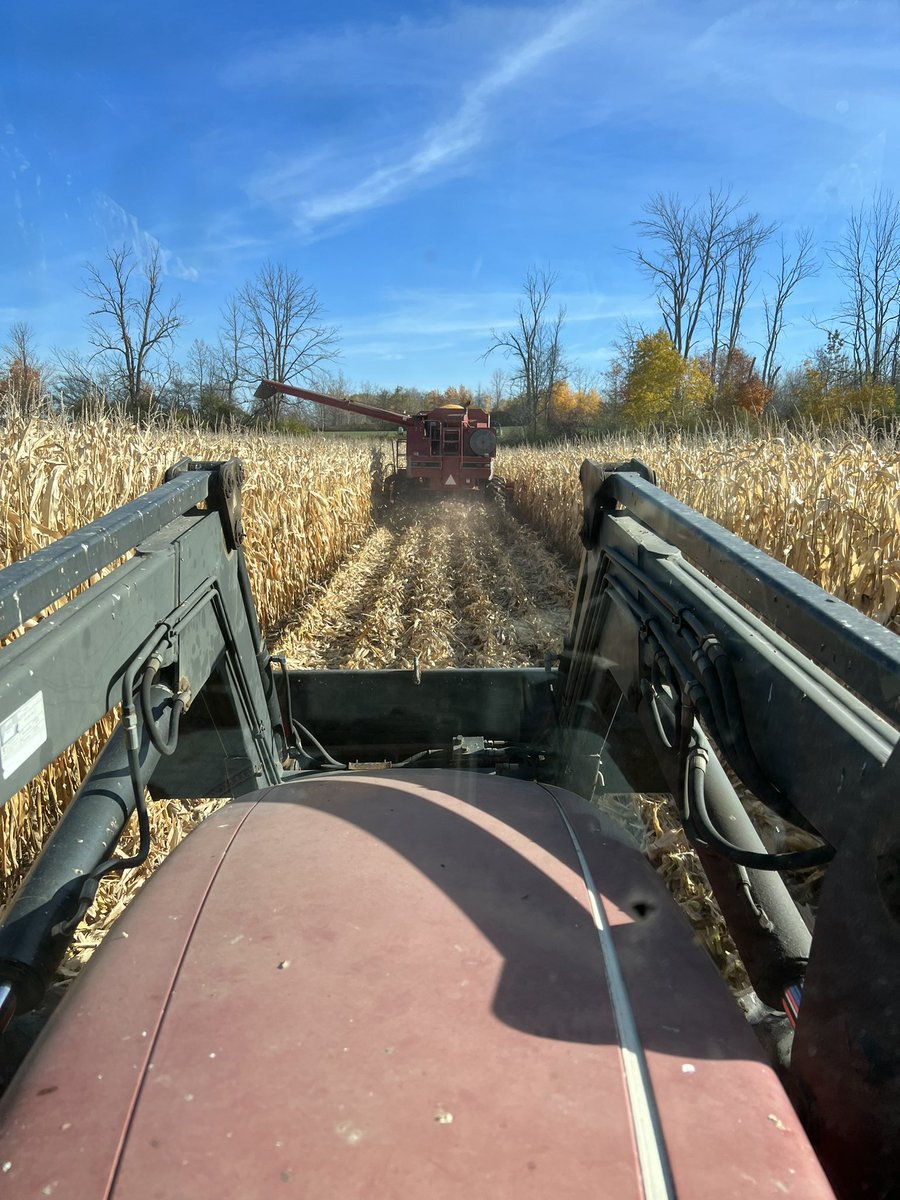 SparlingJeff's tweet photo. Great day harvesting my son @RyanSparling corn crop yesterday  amazing weather and awesome service at Plover Mills commodities thanks @iandann7 @mccutcheondairy   Fastest pit I have ever unloaded at. And you too Mackenzie James for great buggy work. https://t.co/VH82IvoGPe