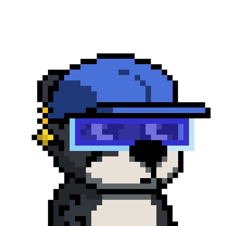 nijorkkk's tweet photo. @maximusss @TheSaudisNFT @TheCheetahNFT https://t.co/njkjY4tlnX