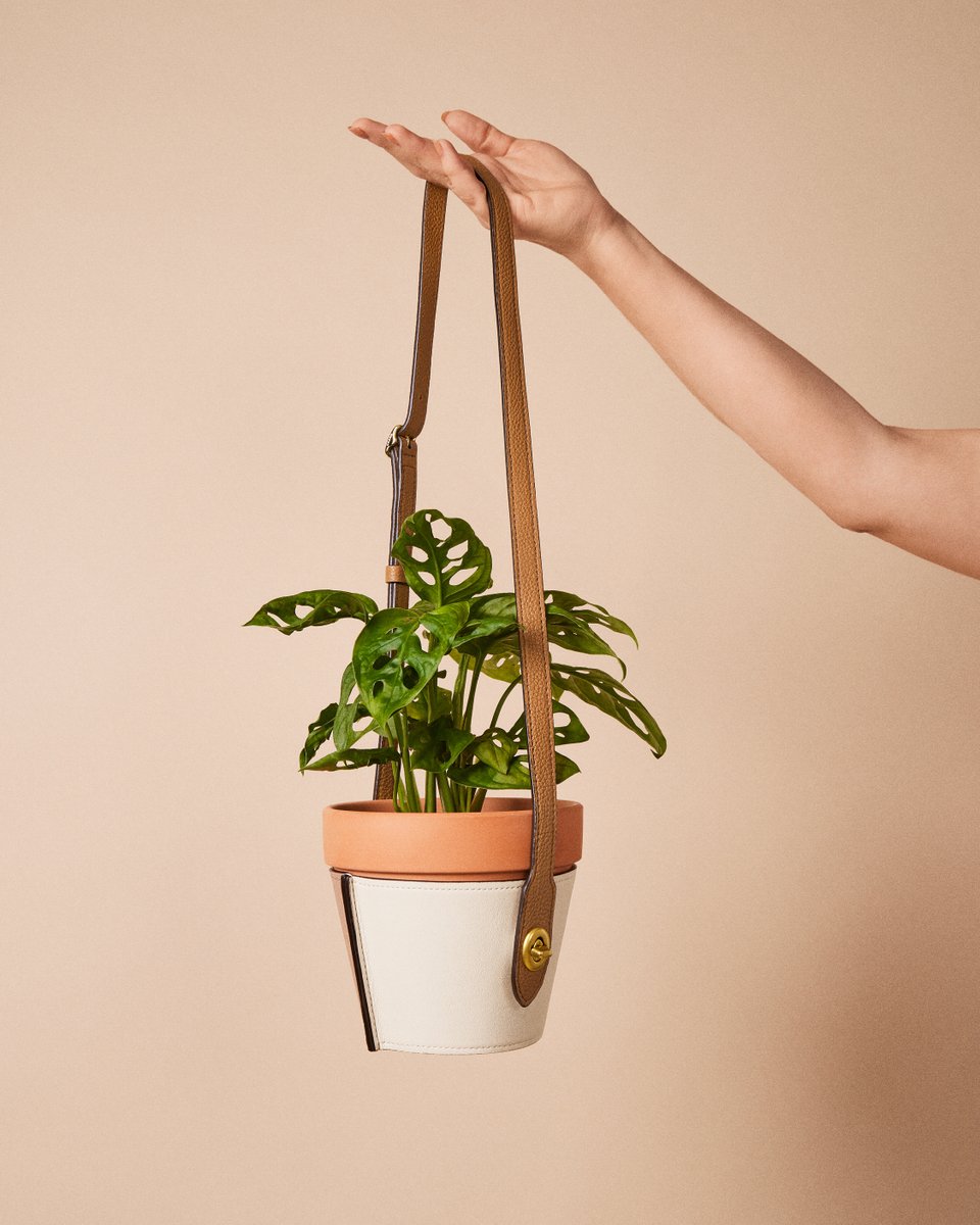 Coach's tweet photo. When you have an idea, water it, then see it grow. 🪴 Swipe right for more magic created at our #CoachReLoved and Repair Workshop. https://t.co/6dmVw5VkDL #CoachNY https://t.co/q9mzmRXMgs