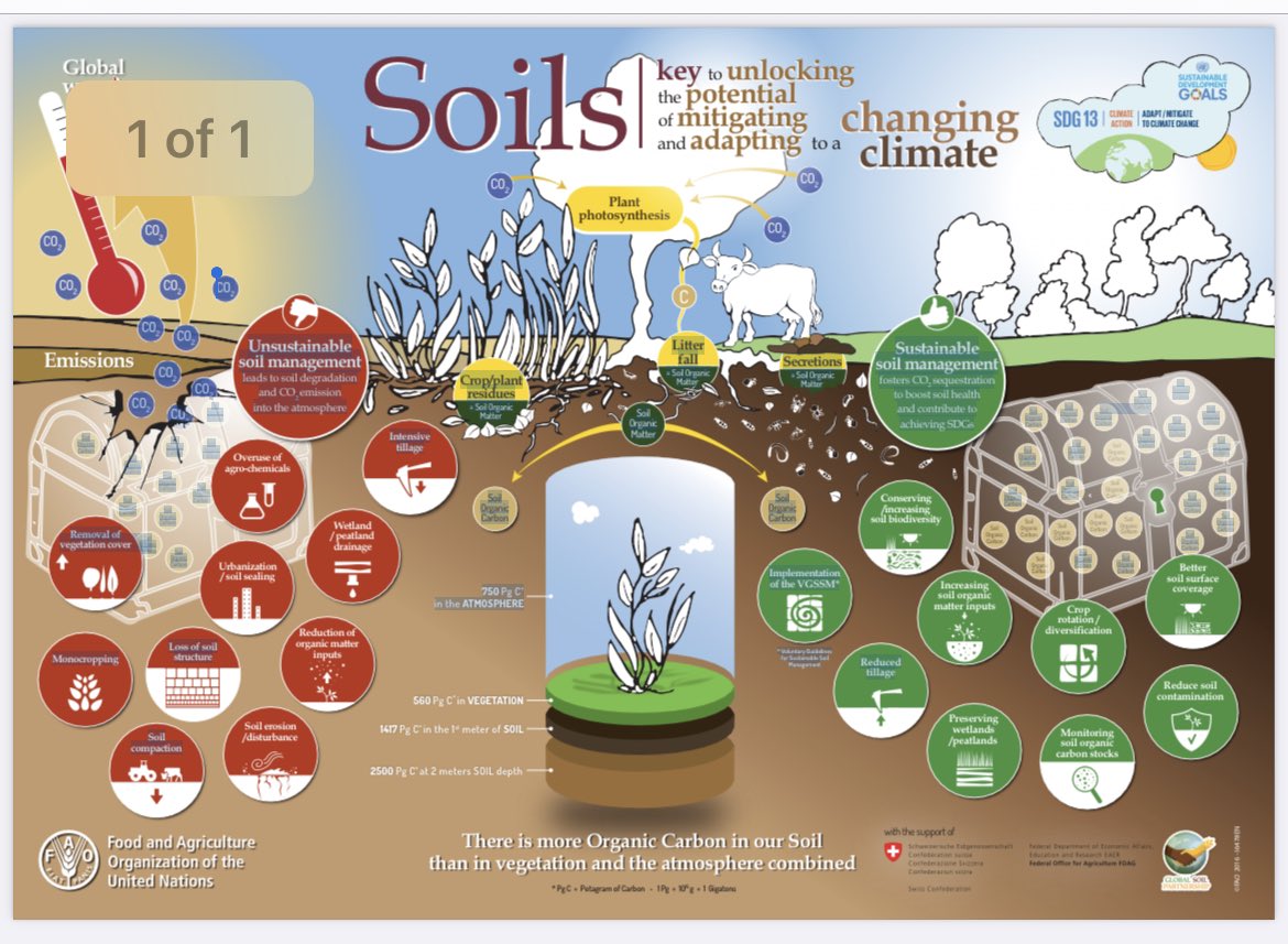 Healthy Soil. Critical to our 🌎. UN FAO, “Soils constitute the largest store of terrestrial carbon. When managed w Sustainable Soil Management (SSM), soils can play important role in climate change adaptation and mitigation.” We’ll lead here in #IA. Vote Norwood! <a href="/Norwood4Iowa/">Citizens for John Norwood</a>