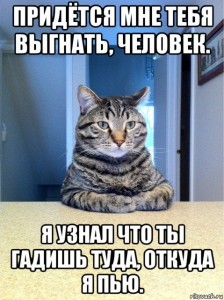 elena_did's tweet photo. Через неделю Сашин кот скажет ему 
#designprosmotr https://t.co/6n1HKBObbw