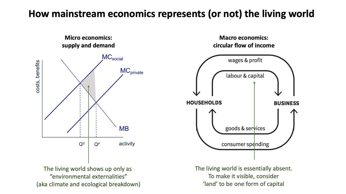 First, the problem: in mainstream economics, destruction of the living world is treated as an 'environmental externality'. As Daly wrote, ”we classify things as ‘external costs’ for no better reason than because we have made no provision for them in our economic theories”.